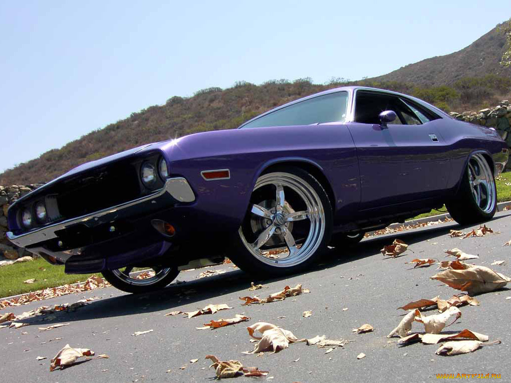 dodge, challenger, 1970, 